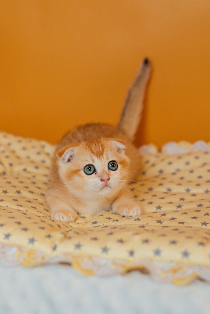 Photo 2025 11 03 23 47 25 2