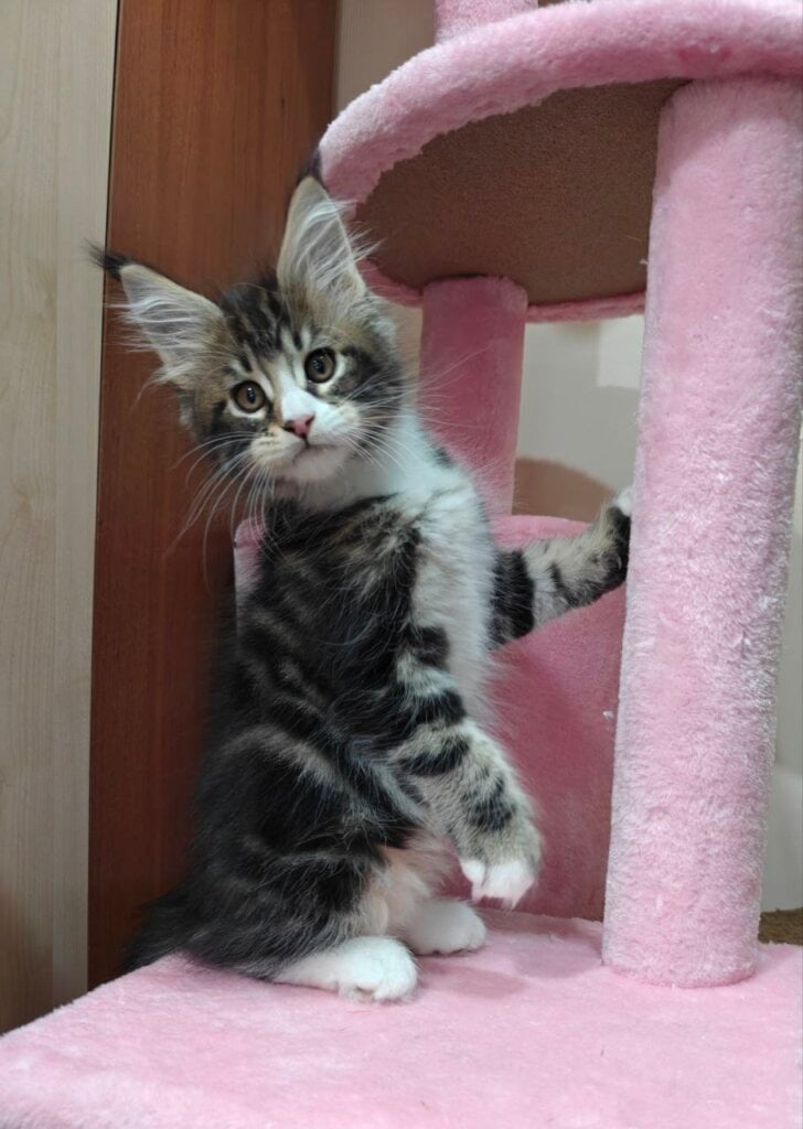 Photo 2025 11 04 00 37 35 4