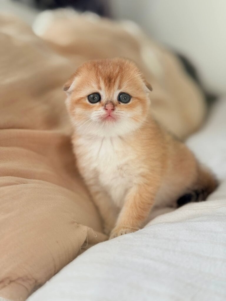 Photo 2025 11 04 12 13 51