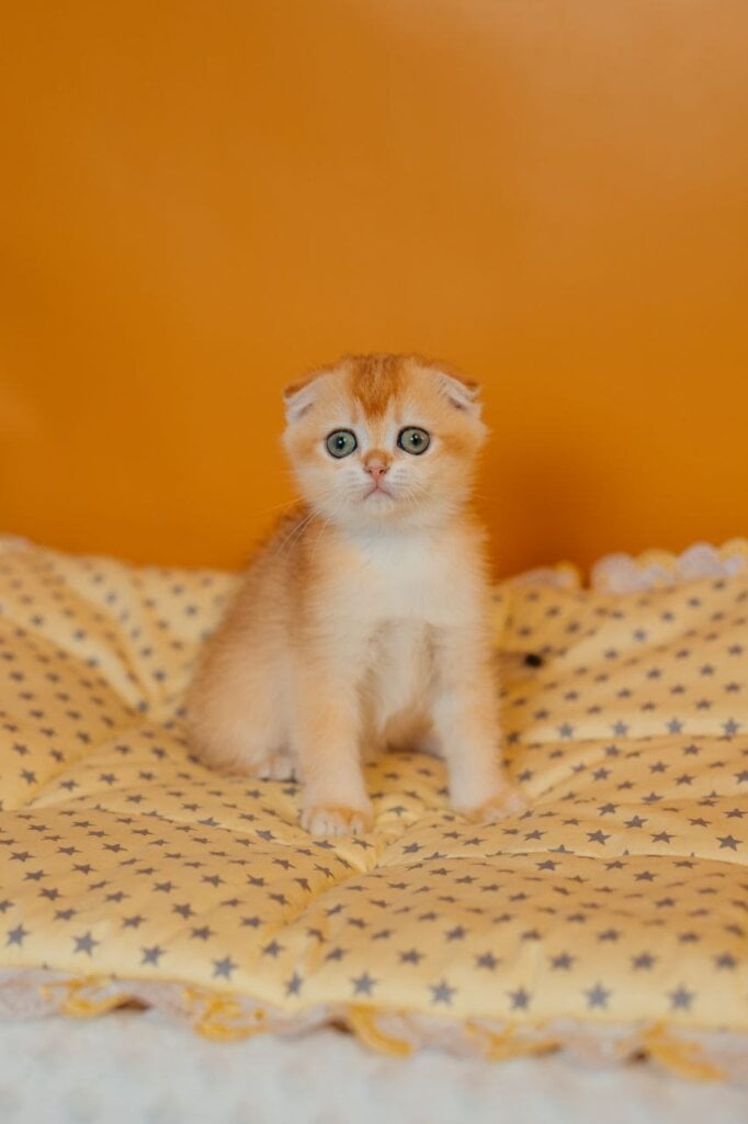 Photo 2025 11 04 12 19 22