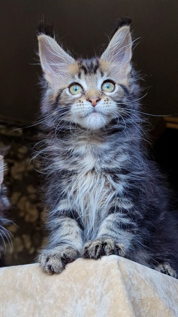 Photo 2025 11 04 14 32 37