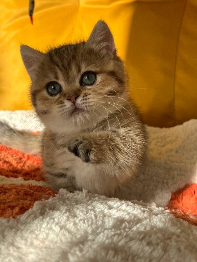 Photo 2025 11 05 13 40 36