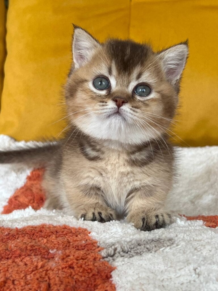 Photo 2025 11 05 13 44 04