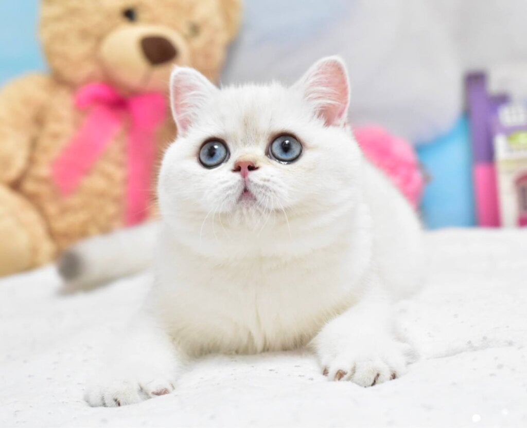 Photo 2025 11 05 13 45 06