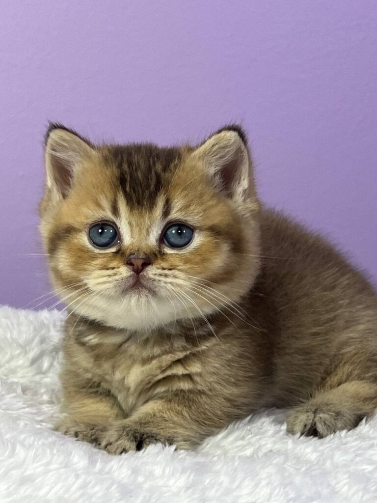 Photo 2025 11 05 13 49 14