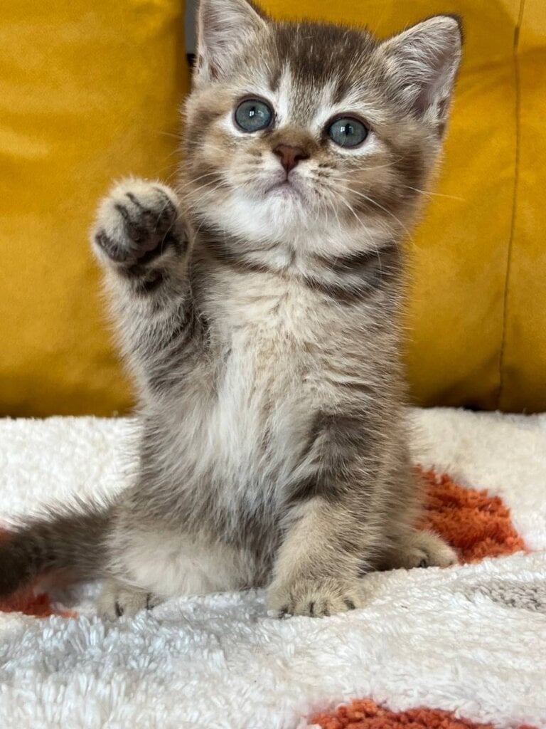 Photo 2025 11 05 14 16 37 2