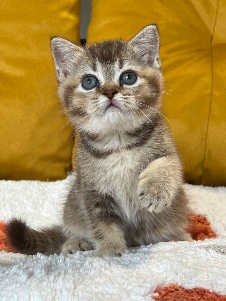 Photo 2025 11 05 14 16 39