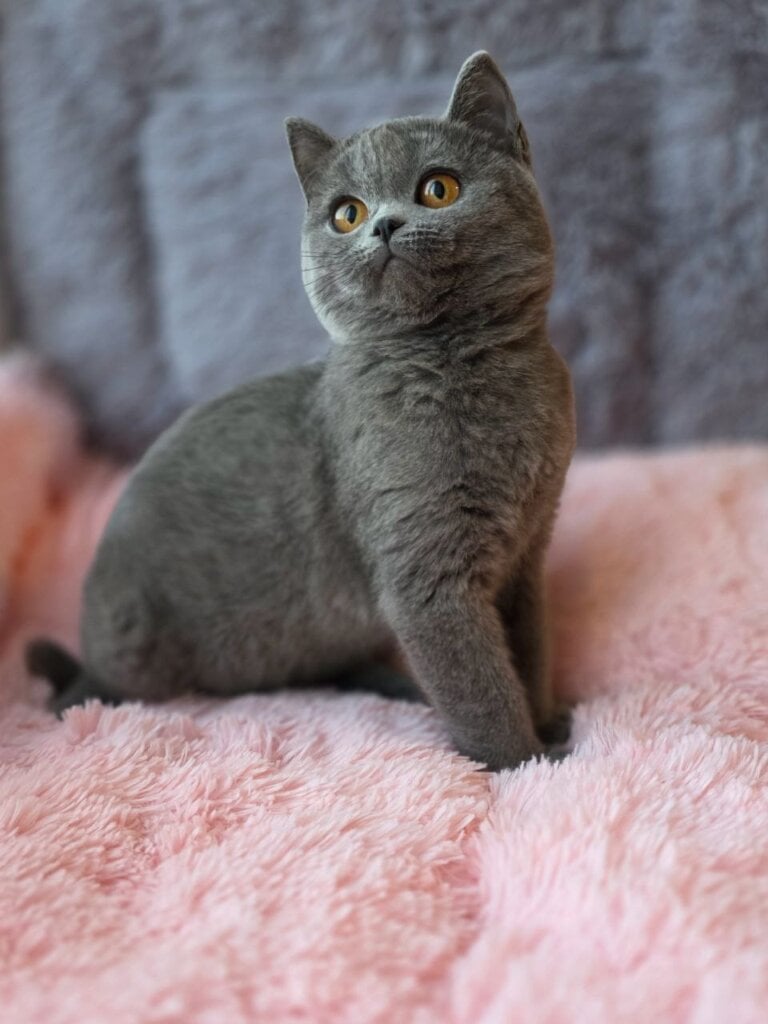 Photo 2025 11 05 21 33 29