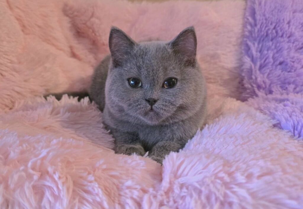 Photo 2025 11 05 21 36 56 2