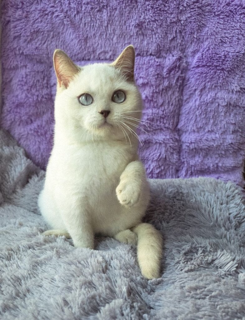 Photo 2025 11 05 21 38 36