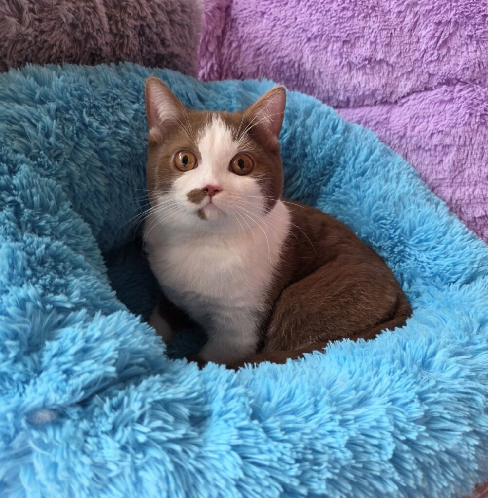 Photo 2025 11 05 21 40 01 2