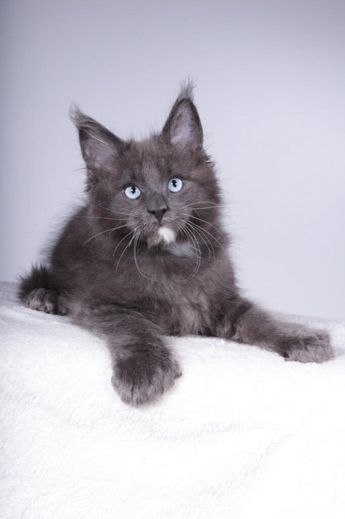 Photo 2025 11 06 17 40 32