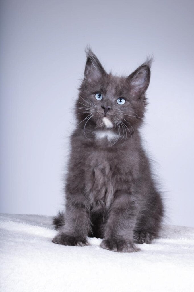 Photo 2025 11 06 17 40 34