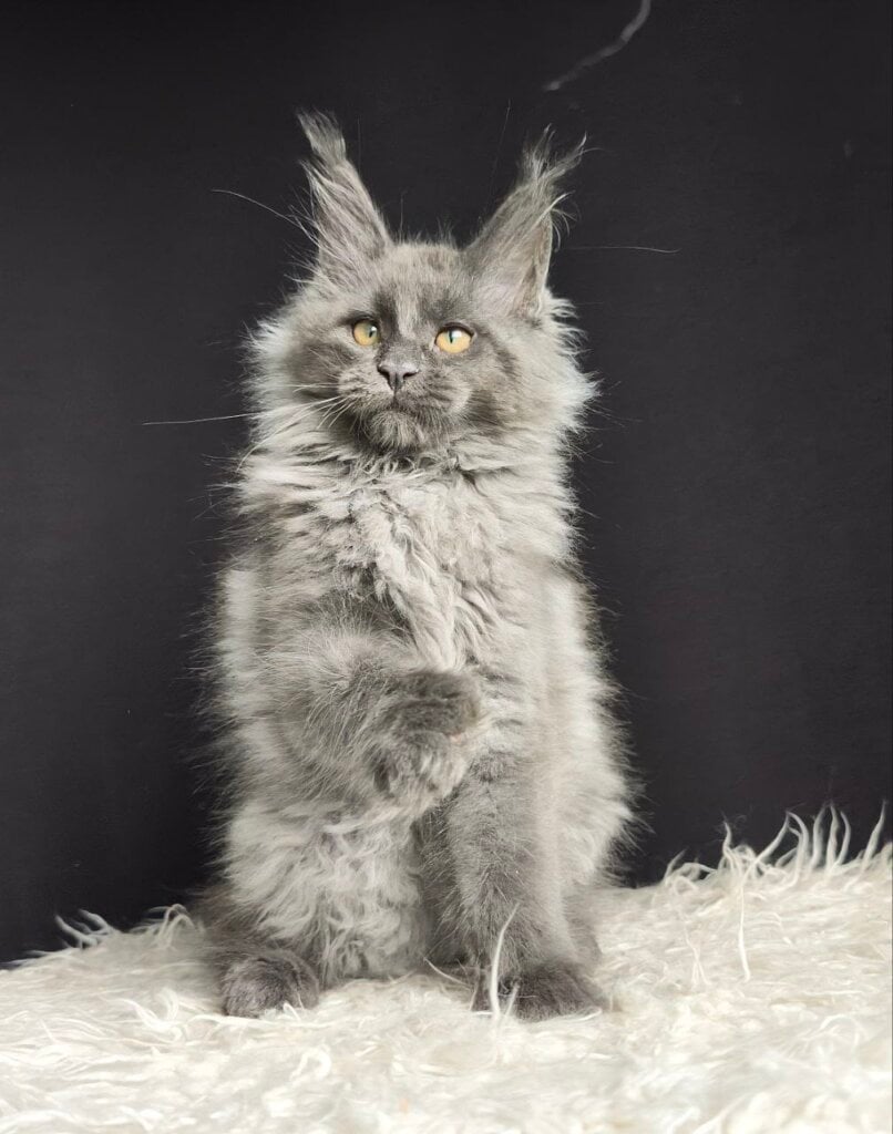 Photo 2025 11 06 20 27 06