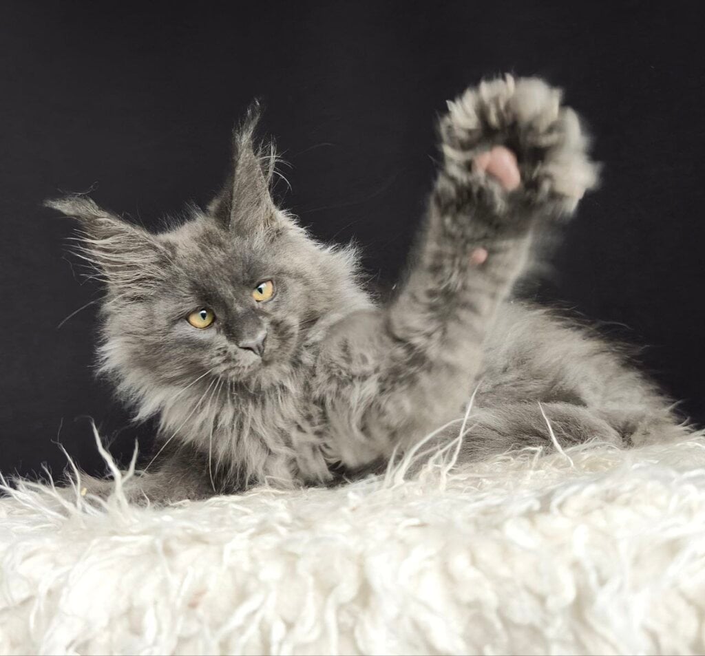 Photo 2025 11 06 20 27 50