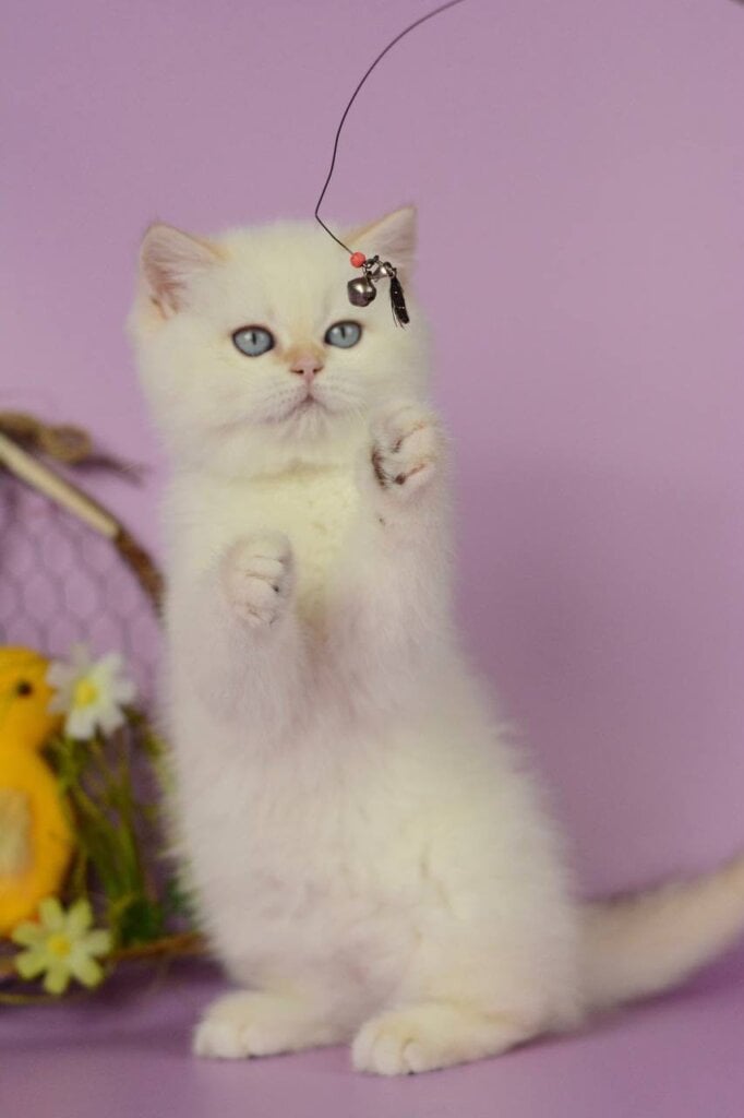 Photo 2025 11 07 15 18 50