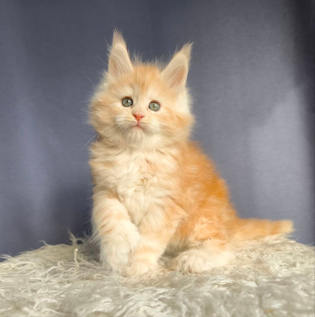 Photo 2025 11 07 17 03 25