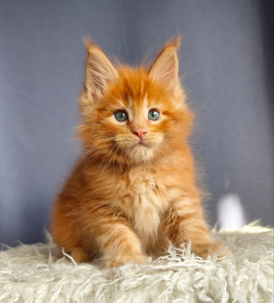 Photo 2025 11 07 17 07 52