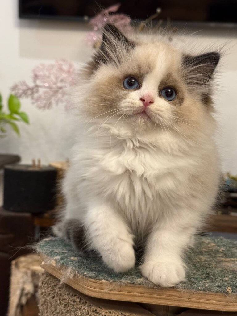 Photo 2025 11 08 10 41 40