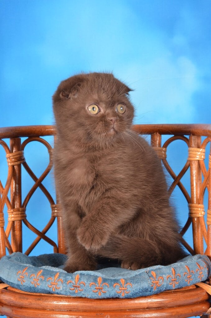 Photo 2025 11 09 22 40 03 3