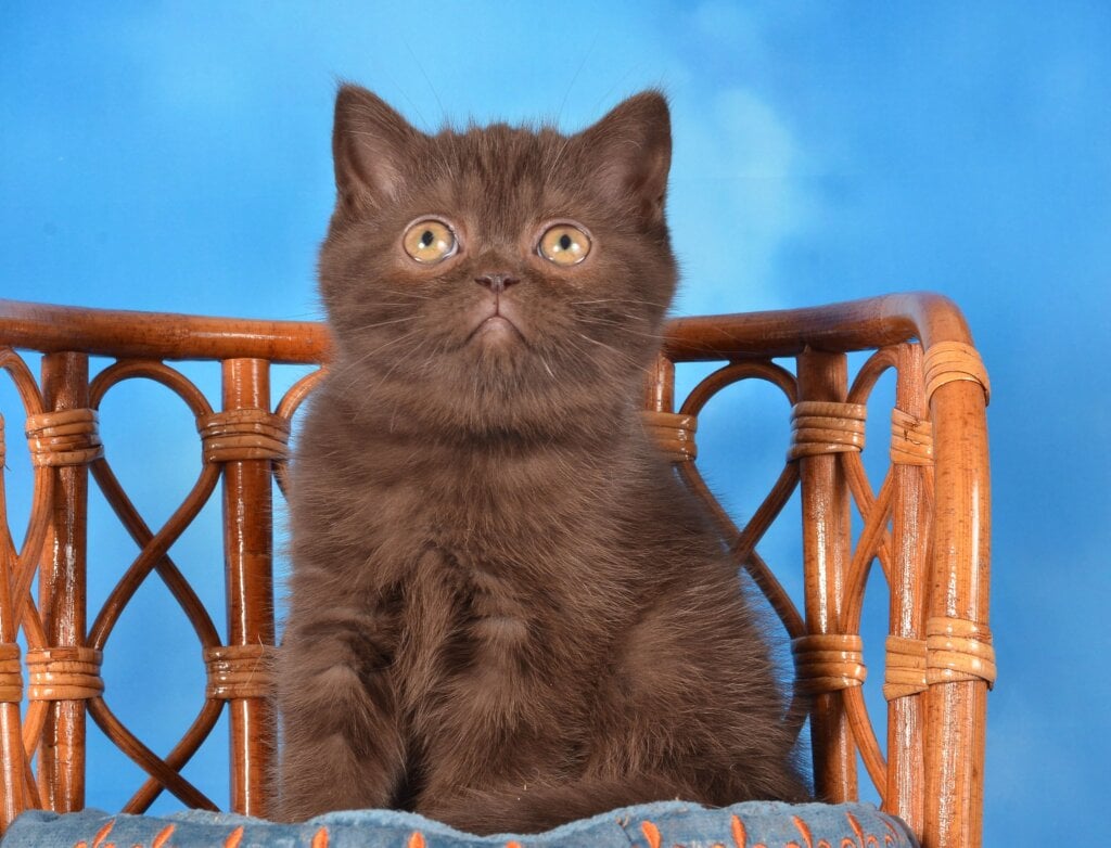 Photo 2025 11 09 22 41 55