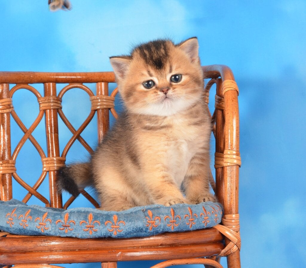 Photo 2025 11 09 22 44 04