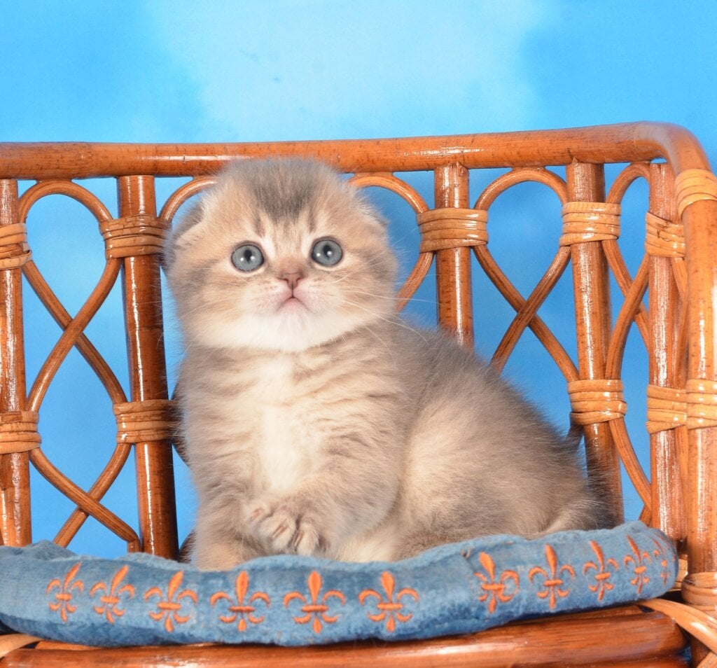 Photo 2025 11 09 22 45 32 3