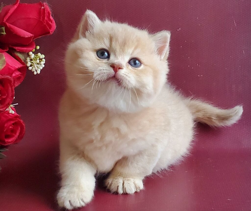 Photo 2025 11 10 14 46 56