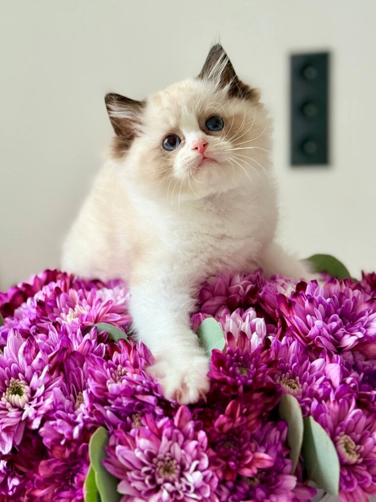 Photo 2025 11 10 15 07 36