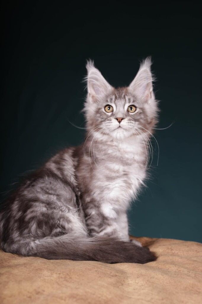 Photo 2025 11 10 18 41 04 2