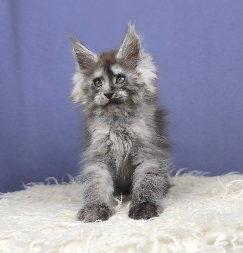 Photo 2025 11 11 13 10 59 2