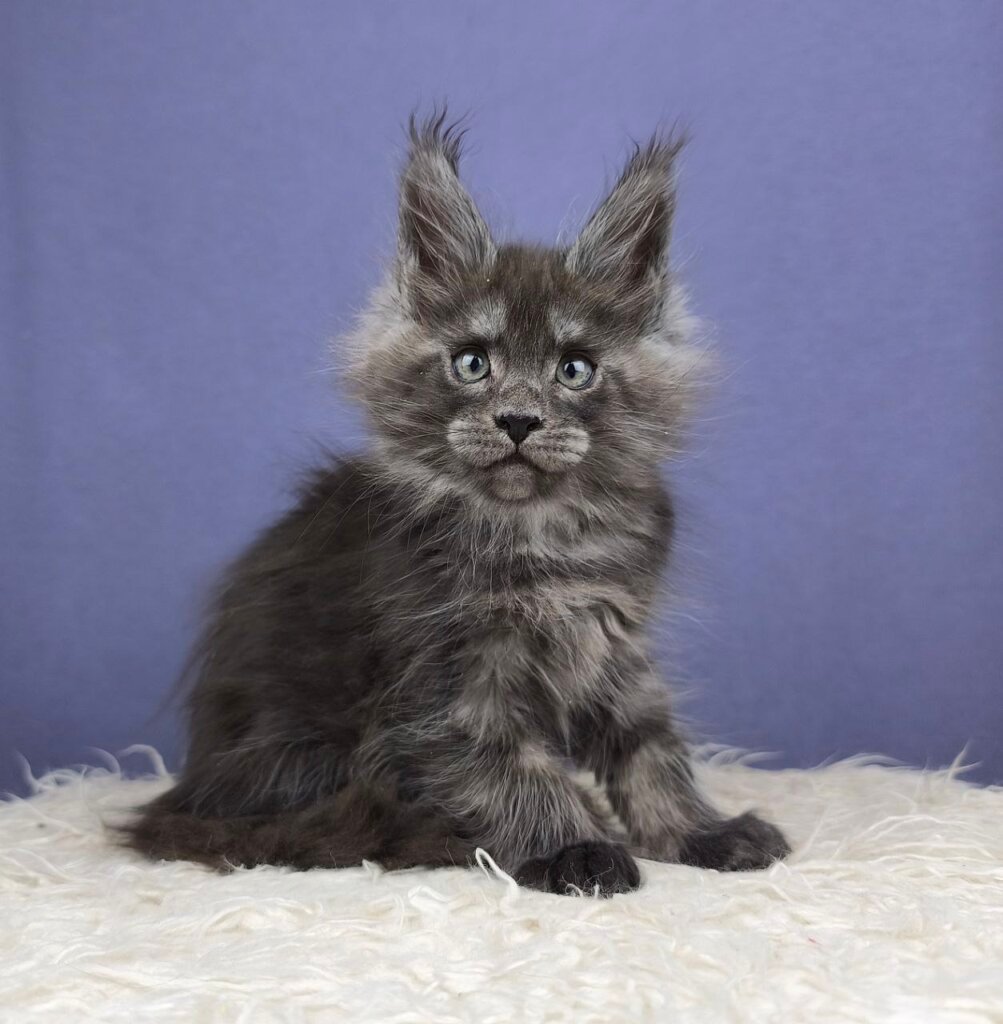 Photo 2025 11 11 13 13 30