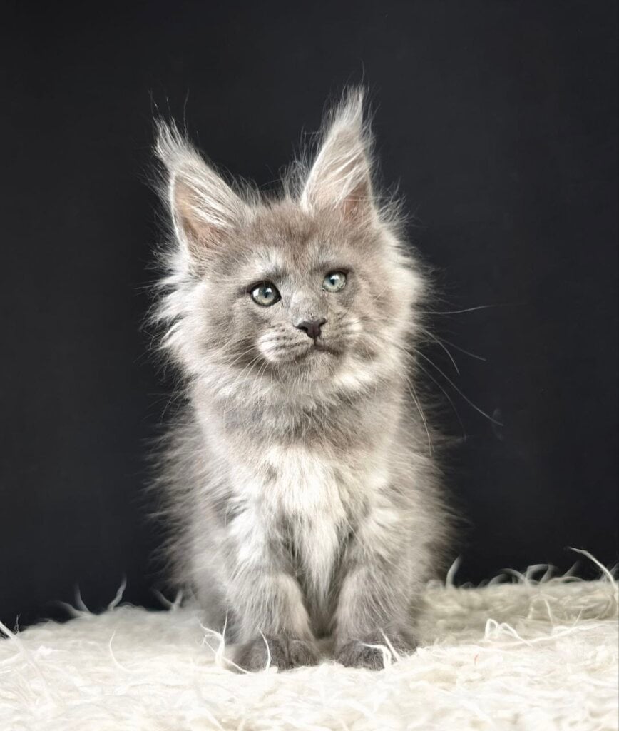 Photo 2025 11 11 13 16 20