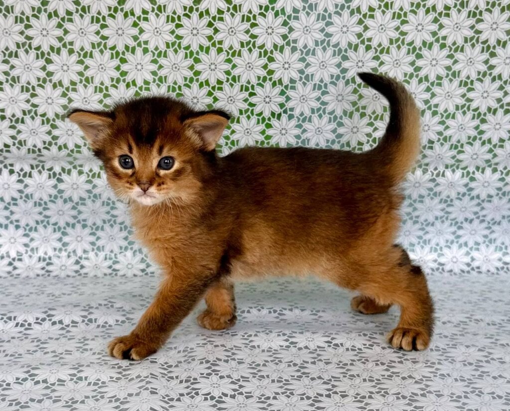 Photo 2025 11 12 08 43 32 2