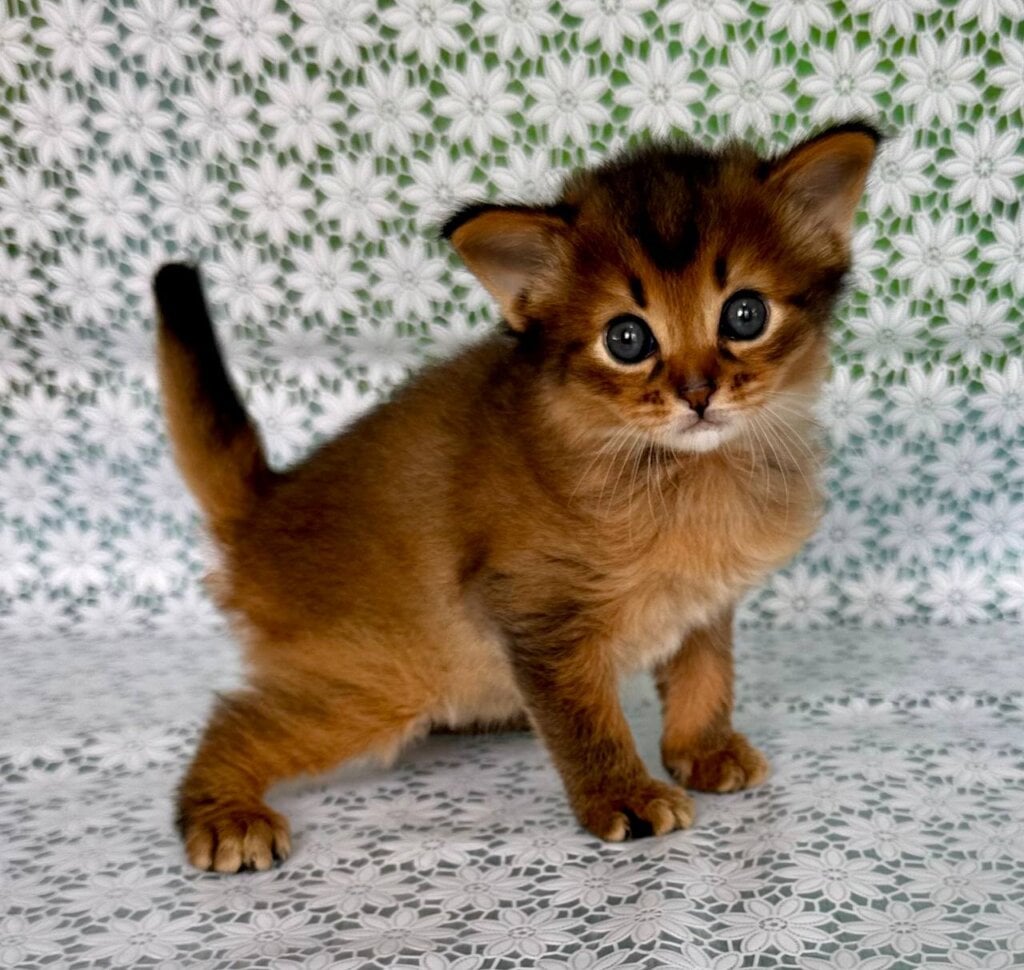 Photo 2025 11 12 08 44 22 2