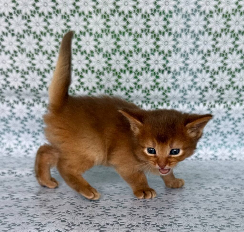 Photo 2025 11 12 08 46 22