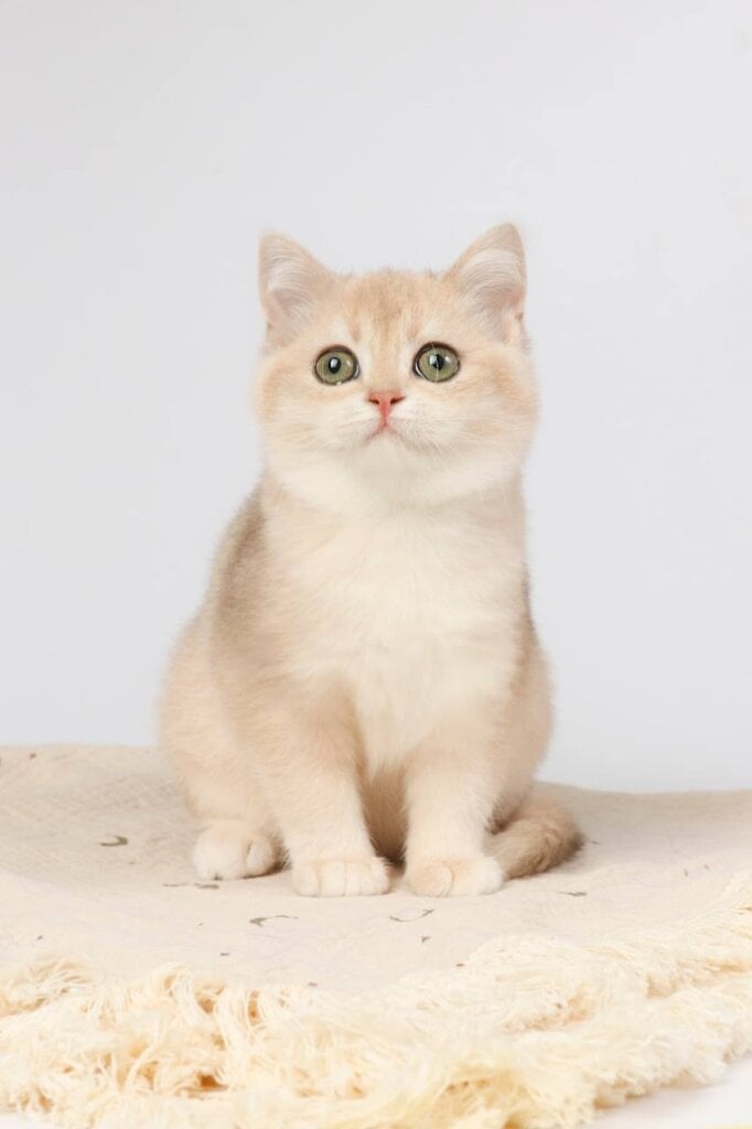 Photo 2025 11 12 09 41 58