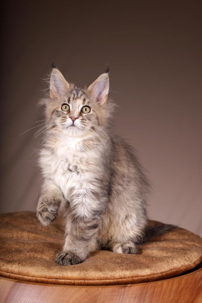 Photo 2025 11 12 20 35 16 2