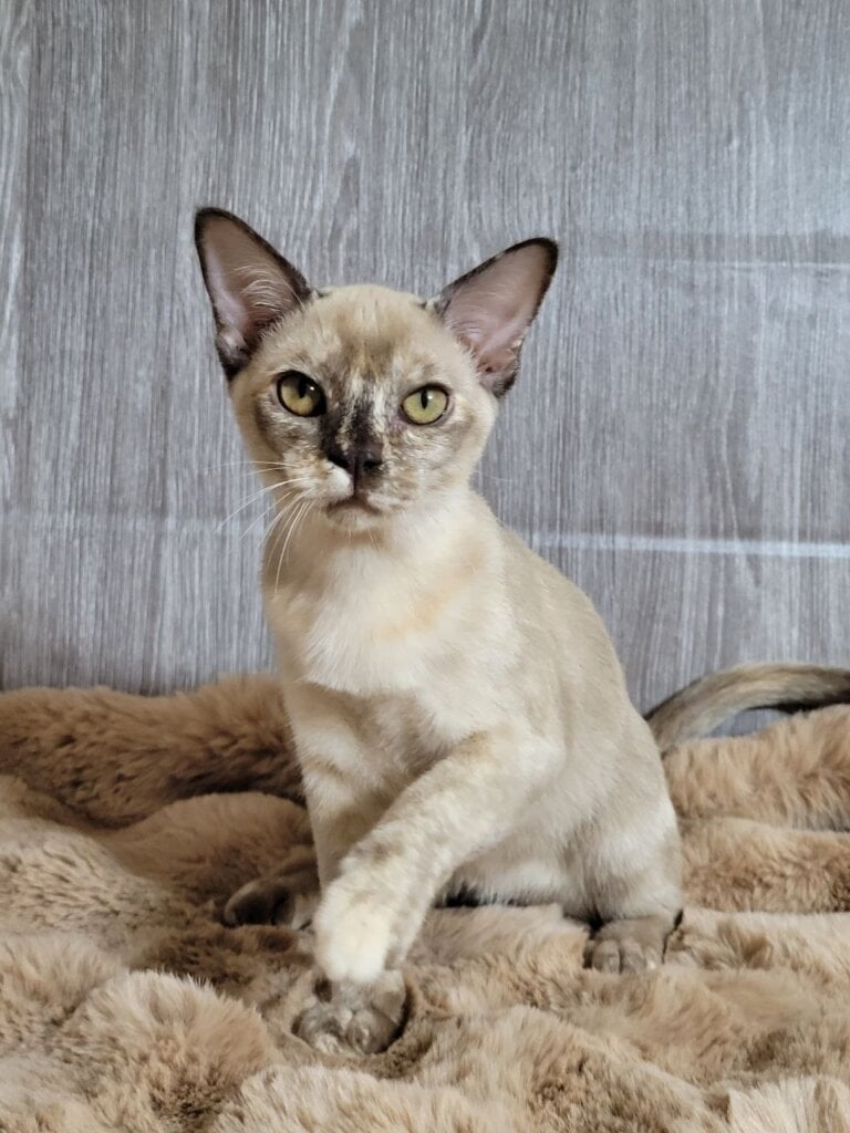 Photo 2025 11 13 11 21 41 3