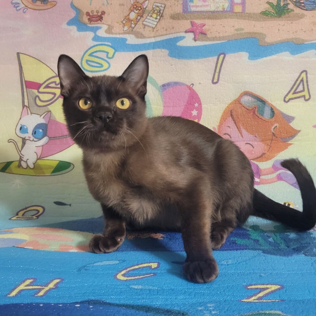 Photo 2025 11 13 11 23 35 2