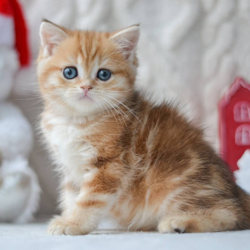 Photo 2025 11 14 15 18 52