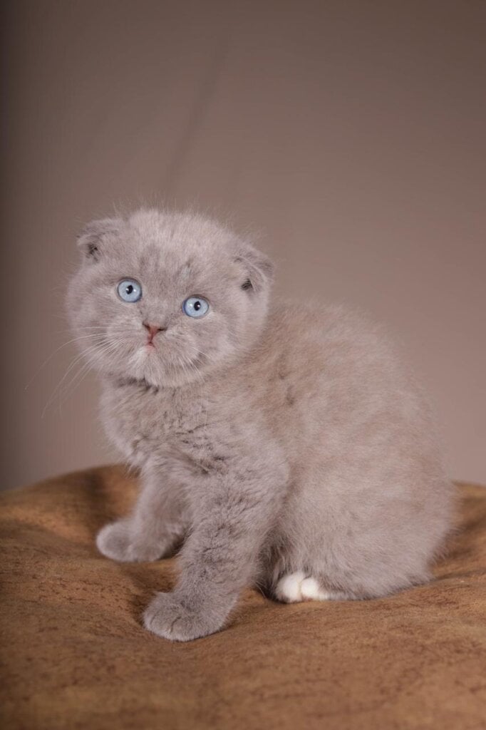 Photo 2025 11 14 18 25 23 2