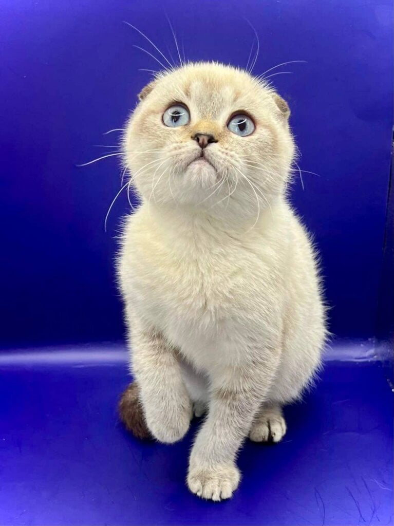 Photo 2025 11 14 21 01 26