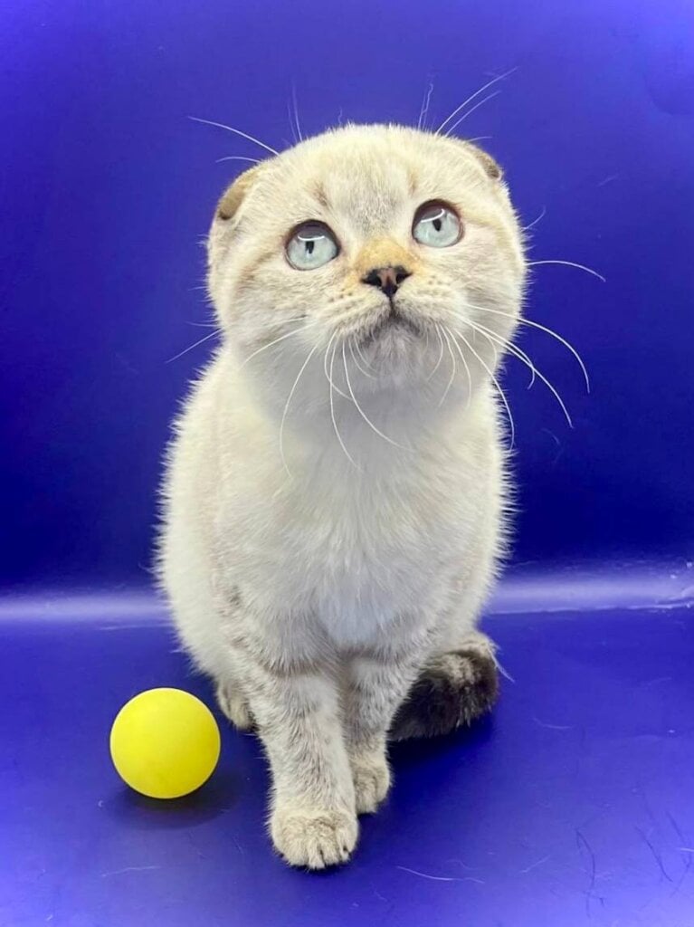 Photo 2025 11 14 21 03 58