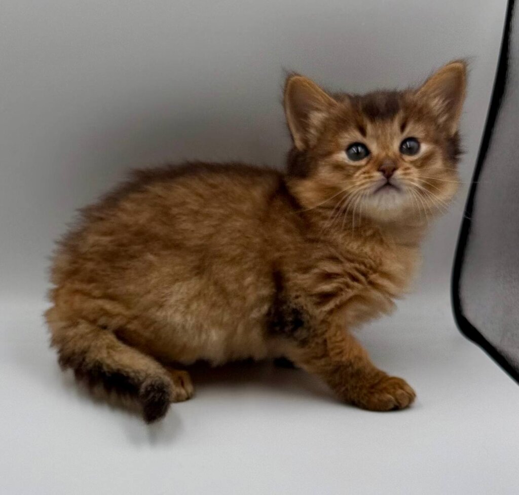 Photo 2025 11 14 22 15 06