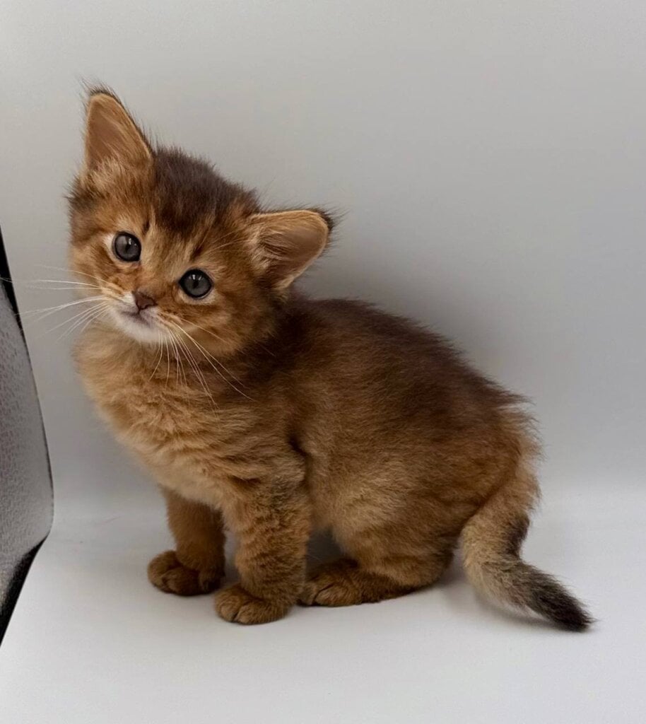 Photo 2025 11 14 22 15 58