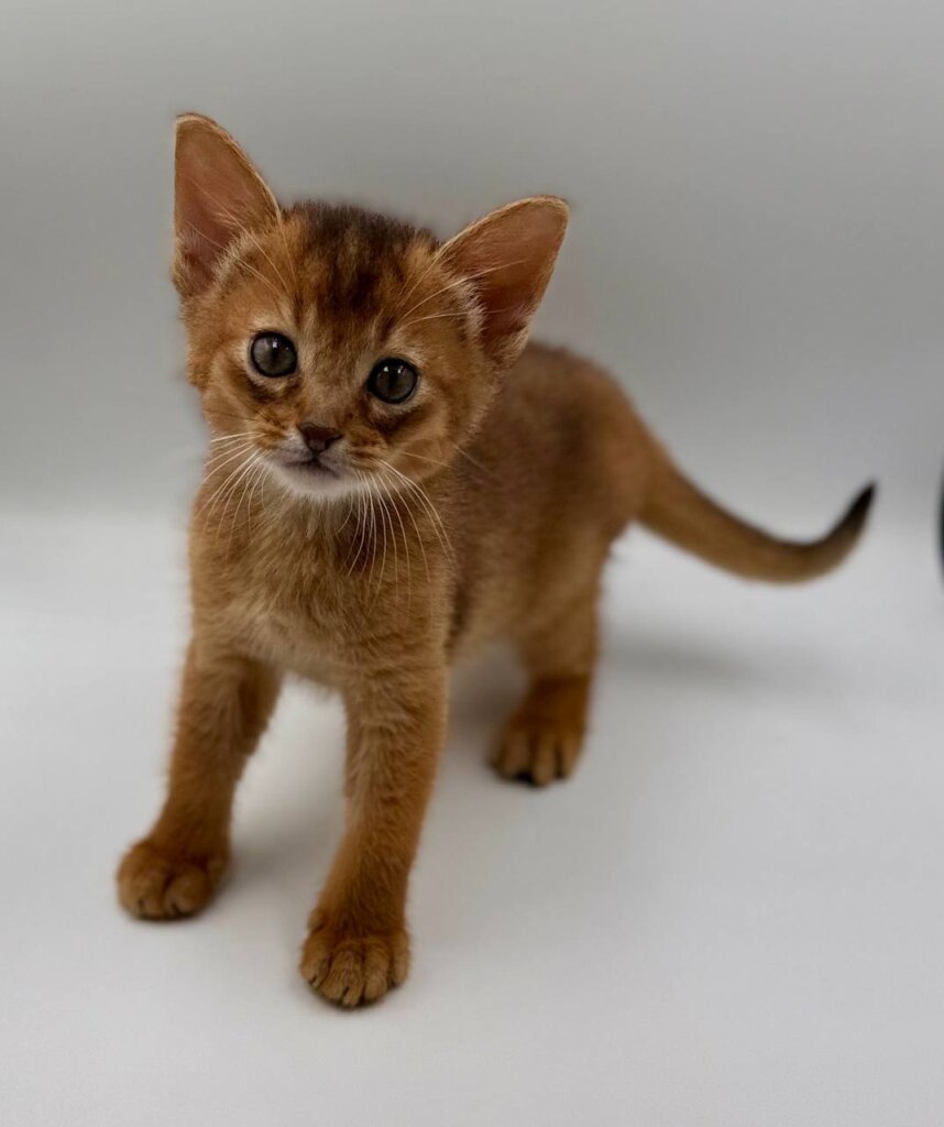 Photo 2025 11 14 22 16 33 2