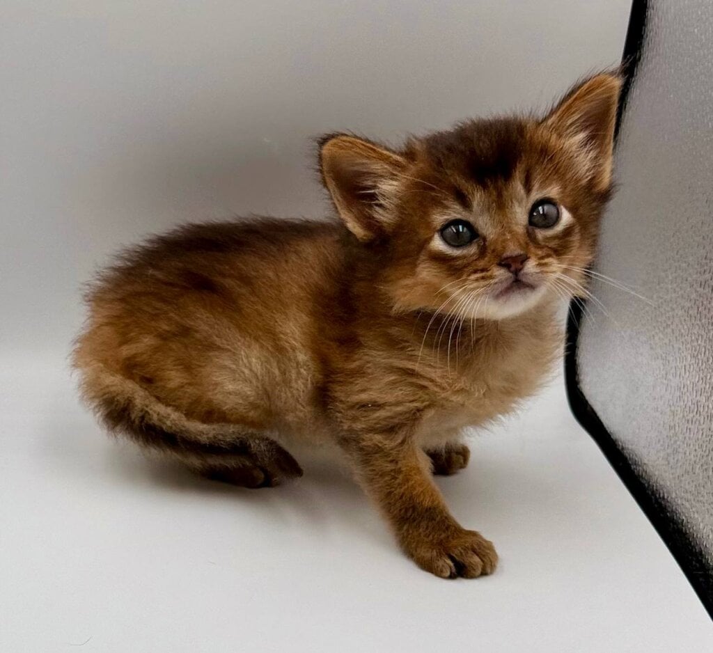 Photo 2025 11 14 22 17 15