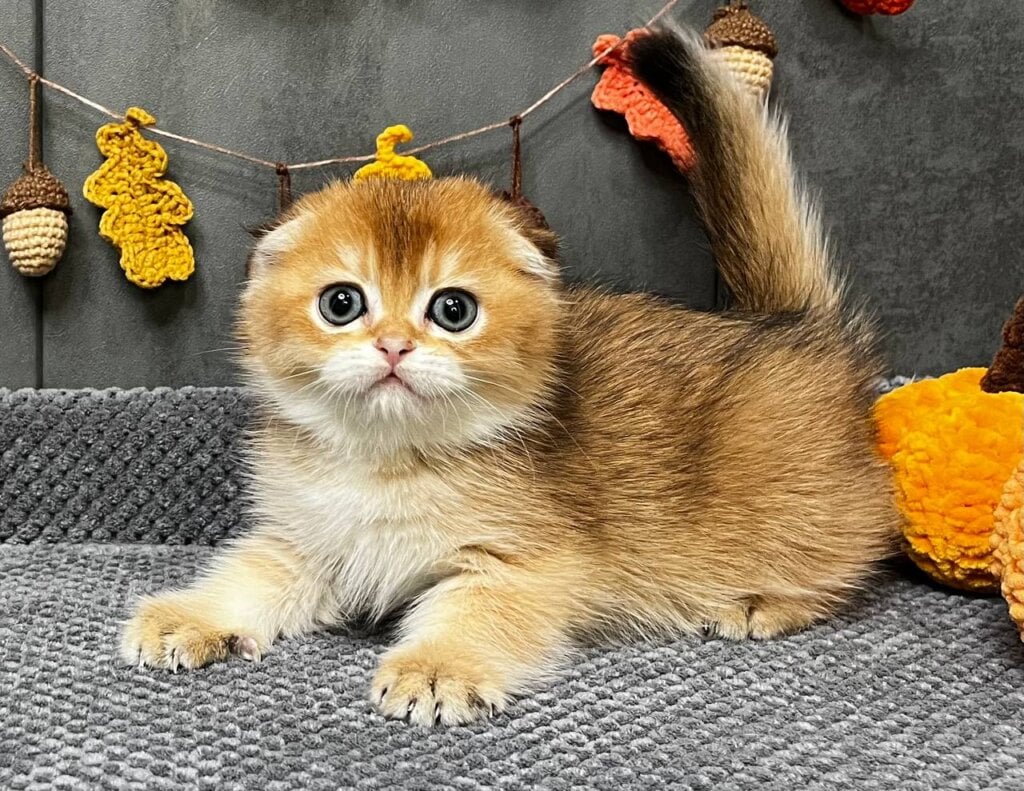 Photo 2025 11 15 12 16 45