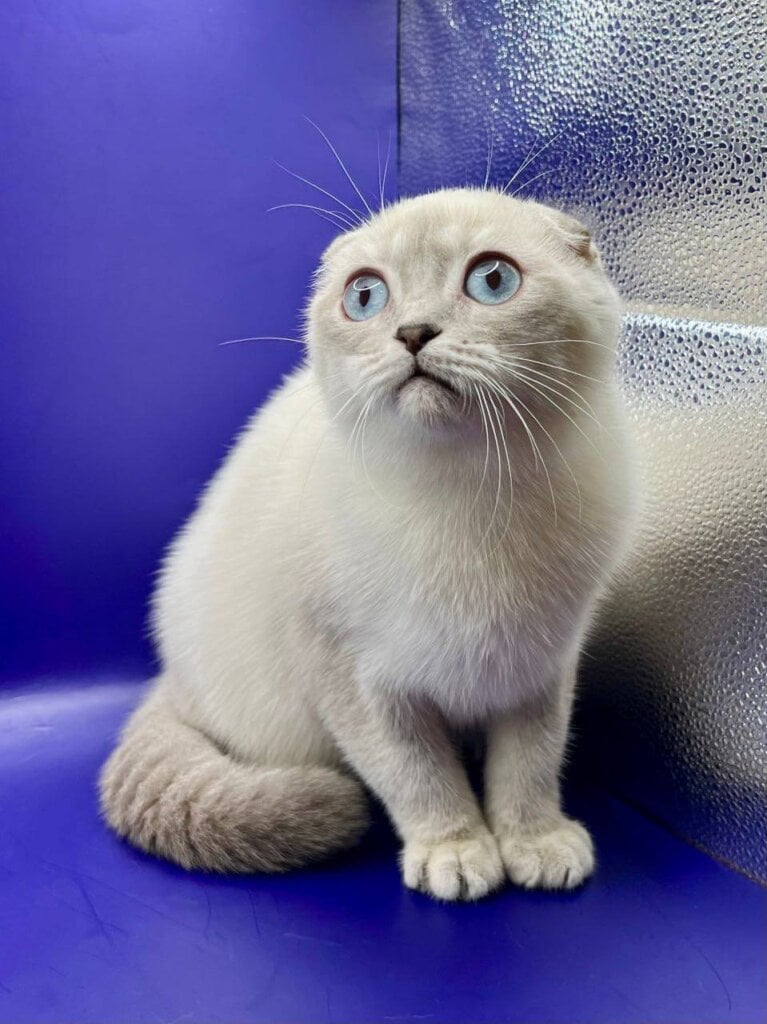 Photo 2025 11 15 17 18 21